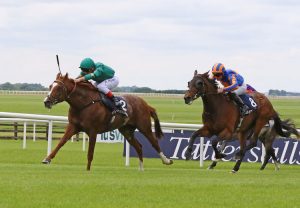 Decorated Knight